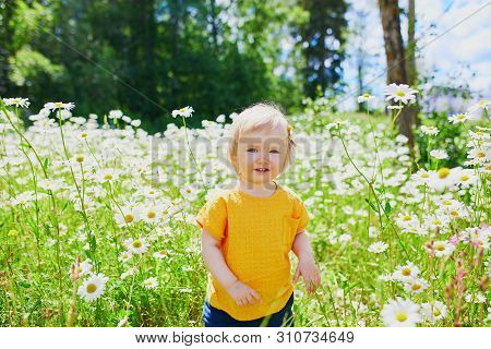 Adorable Baby Girl Amidst Green Grass And Beauitiful Daisies On A Summer Day. Little Child Having Fu