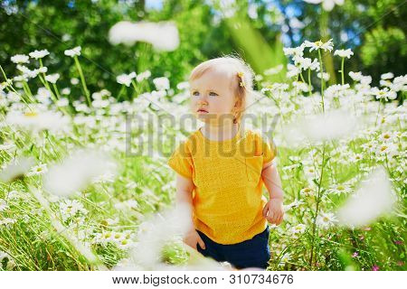Adorable Baby Girl Amidst Green Grass And Beauitiful Daisies On A Summer Day. Little Child Having Fu