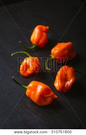 Grouping Of Raw Bright Orange Habaneros On A Slate Surface