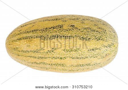 Whole Ripe Sweet Melon Isolated On White Background