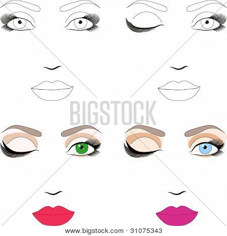 Muestras de esquema de cara de mujer para la aplicación del maquillaje