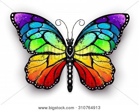 Realistic Monarch Butterfly In All The Colors Of The Rainbow On A White Background. Rainbow Butterfl