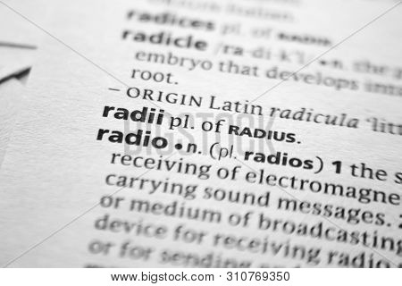 Word Or Phrase Radii In A Dictionary