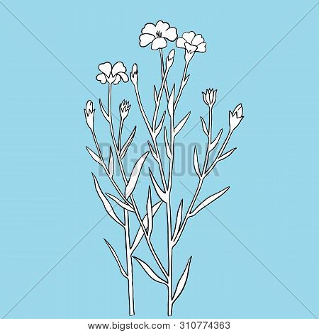 Forget-me-not On A Blue Background. 
Realistic, Hand-drawn Illustration On A Blue Background. Can Be