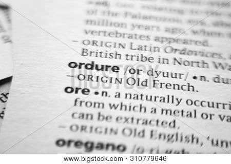 Word Or Phrase Ordure In A Dictionary