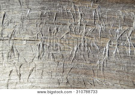 Old Board With Wood Fibers. Background. Close-up