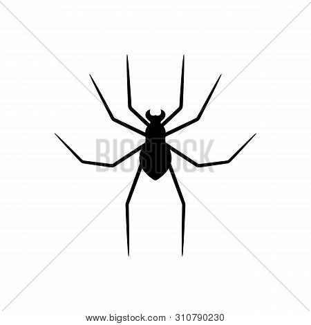 Black Silhouette Of Spider Isolated On White Background. Halloween Decorative Element. Vector Illust