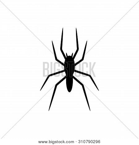 Black Silhouette Of Spider Isolated On White Background. Halloween Decorative Element. Vector Illust