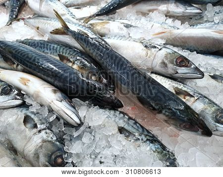 Top View Of Fresh Mackerel Or Saba On Ice For Sale In The Fish Market At Thailand, Seafood As A Back