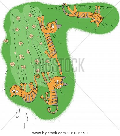 Funny cats on green curtain