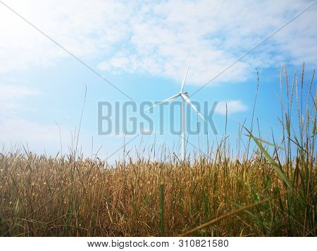 Windmills On One Of The Wheat Fields Of Ukraine. Energy Saving Concept