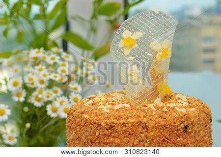 Honey Cake With Prunes. Piece Of Cake. Homemade Cake With Flower Background. Sweet Dessert. Sweet Ca