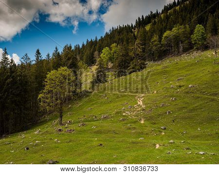 Trail To Mount Wendelstein In Upper Bavaria In The Late Spring, Featuring Green Gras, Rocks And Part