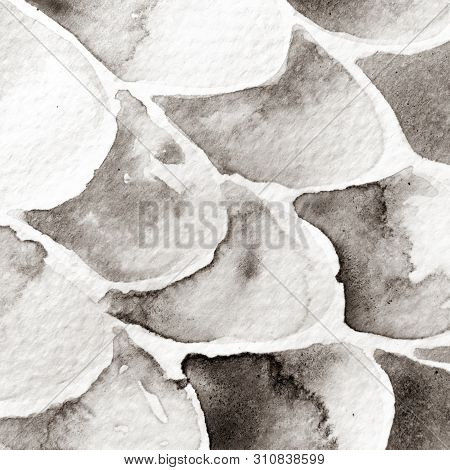 Gray And Beige Snake Design. Watercolor Hand Drawn Python Print.  Cobra Skin Exotic Texture. Geometr