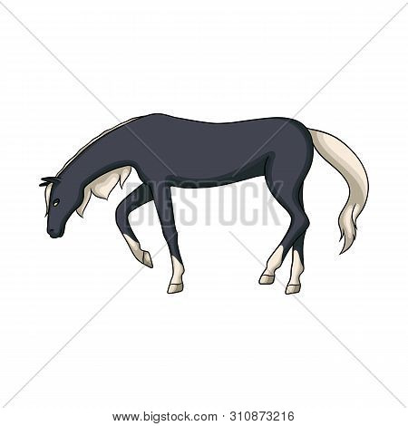 Vector Design Of Running And Horse Symbol. Set Of Running And Hoofed Stock Vector Illustration.