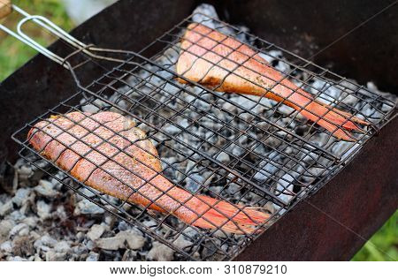 Raw Marinated Yelloweye Rockfish Cooking On A Grill On Hot Coals. Concept Background For A Family Su