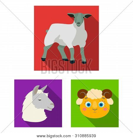 Bitmap Illustration Image & Photo (Free Trial) | Bigstock