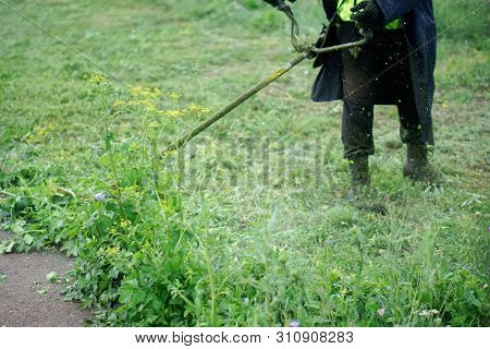 A Man Mows The Grass On A Lawn With A Lawn Mower. Improvement And Economy Of A Big City. Summer Day