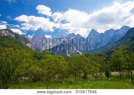 Gorgeous View Of Moutain Spik In Julian Apls