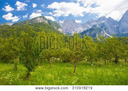 Gorgeous View Of Moutain Spik In Julian Apls
