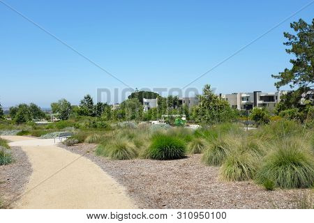 IRIVNE, CALIFORNIA - JULY 11, 2019: Trail in the Great Park Bosque Area bordered by new homes.