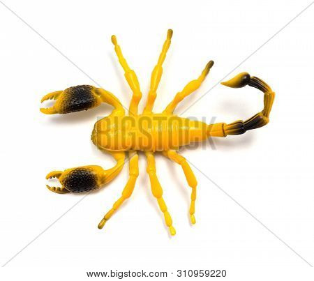 Top View Dummy Scorpion On A White Background