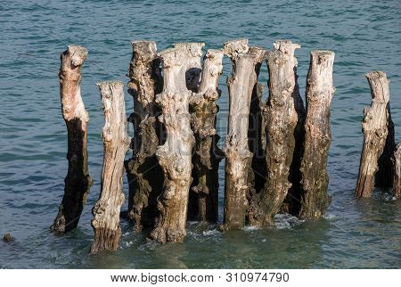 Big Breakwater, 3000 Trunks To Defend The City From The Tides, Plage De L Eventail Beach In Saint-ma