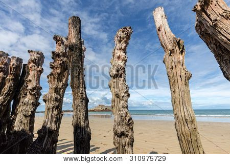 Big Breakwater, 3000 Trunks To Defend The City From The Tides, Plage De L Eventail Beach In Saint-ma