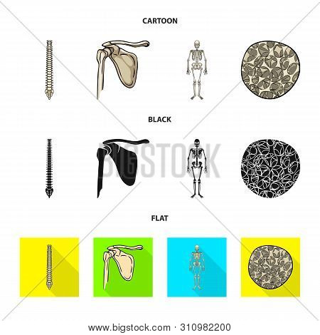 Vector Illustration Of Medicine And Clinic Icon. Set Of Medicine And Medical Vector Icon For Stock.