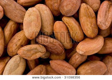 Haricots crus de Cacao (theobroma Cacao)