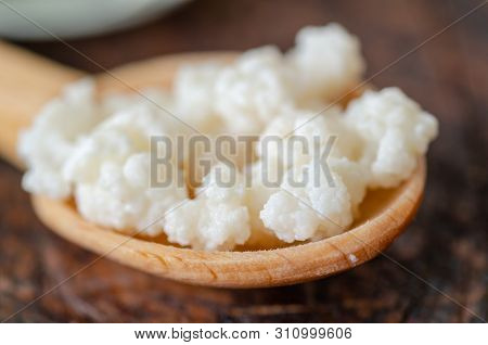 Organic Probiotic Milk Kefir Grains.  Tibetan Mushrooms Grains Are  On The Wooden Spoon And  Kefir M