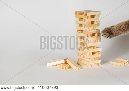Wooden Board Game On A White Background. The Cat Is Trying To Destroy The Wooden Structure With Its 