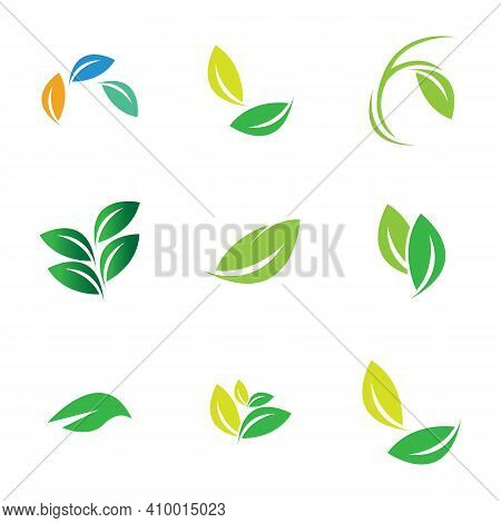 Leaf