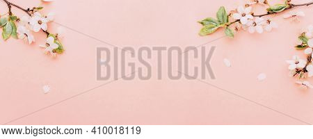 May Flowers. Spring Blossom And April Floral Nature On Pink Background. Beautiful Scene With Bloomin