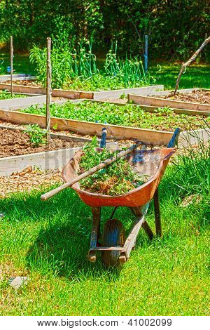 Home-Garten