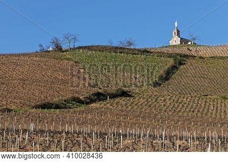 La Chapelle De La Madone (chapel Of The Madonna) Dominates The Vineyards Of Beaujolais In Fleurie