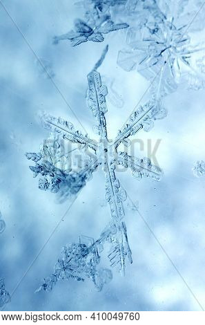 Macro Photo Of A Beautiful Snowflake Close-up