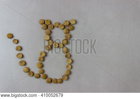 Shape The Cat From Dry Cat Food On A Gray Background. Satisfied Cat Wags Its Tail.