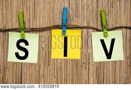 Siv Business Customer Management Analysis Service Concept Business Team