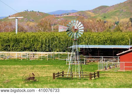February 22, 2021 In Farmersville, Ca:  Orange Trees With A Rustic Windmill And Wind Machine In The 