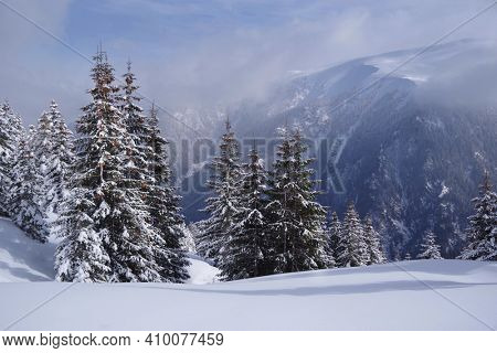 Winter in Godeanu Mountains, Carpathians, Romania, Europe