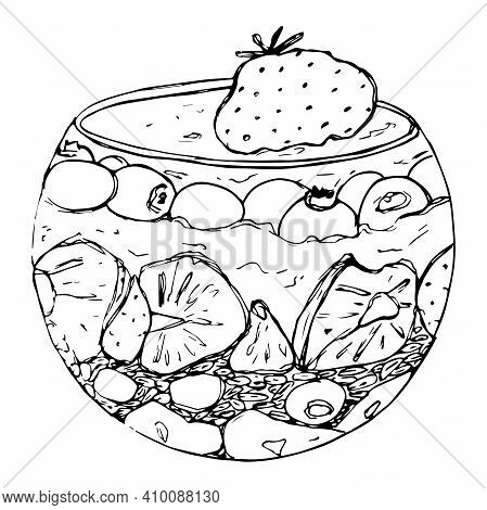 Vector Illustration Granola Parfait With Yogurt, Oat Granola, Fresh Berries, Honey And Nuts. Organic