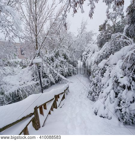 Snowscape In A Park In Madrid Due To The Snowstorm Filomena. Spain