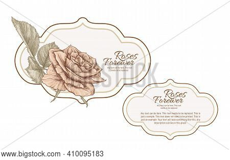 Set Of Face And Back Labels, Stickers For Food Products Or Cosmetics In Engraving, Vintage, Old, Ret