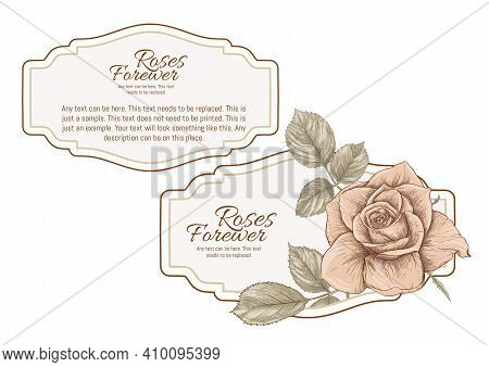 Set Of Face And Back Labels, Stickers For Food Products Or Cosmetics In Engraving, Vintage, Old, Ret