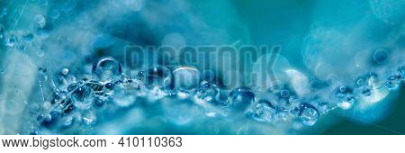 Macro Nature. Beautiful Dew Drops On Dandelion Seed Macro. Beautiful Soft Background. Water Drops On