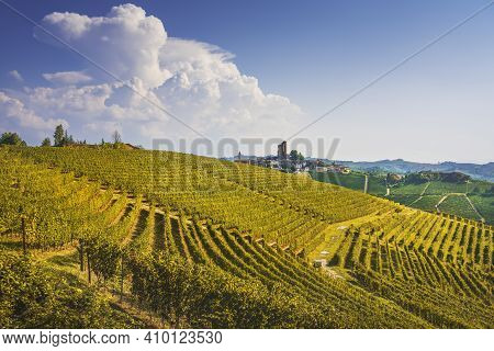 Langhe Vineyards Panorama, Serralunga D Alba, Unesco Site, Piedmont, Northern Italy Europe.