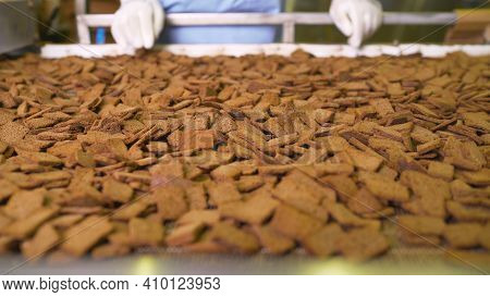 Delicious Rusks Being Manufactured In A Factory. Production Of Rusks On An Industrial Scale.