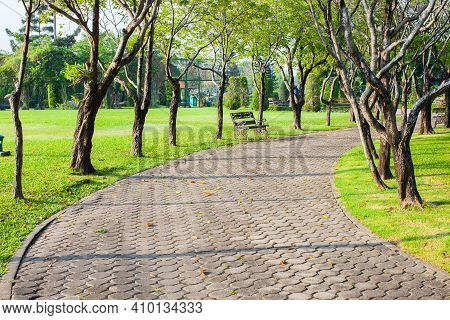 Empthy Lanes In Park At Day Time