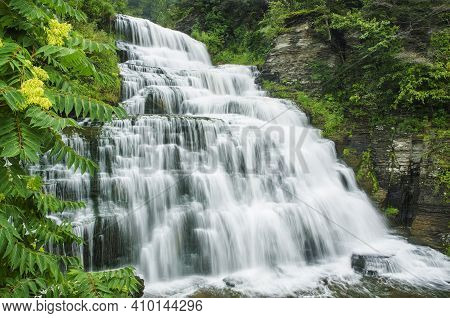 Sumac Grows Besides Hector Falls On Hector Creek, Schuyler County, New York